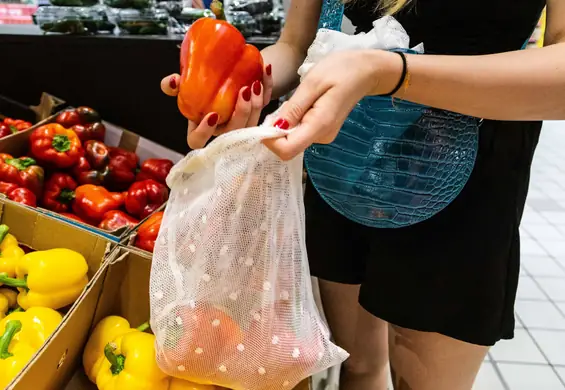 Wysokie zarobki sprzyjają dbaniu o środowisko. Ma to związek ze "skończoną pulą zmartwień"