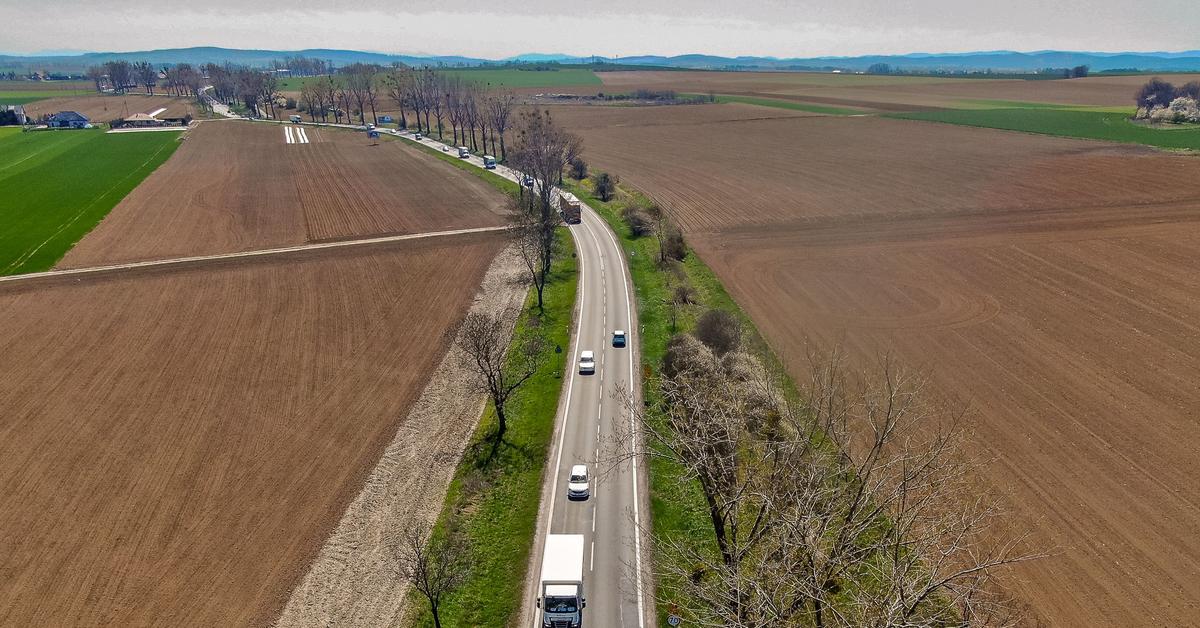  Zaplanowali ekspresówkę S8 bez badania wpływu na Dolinę Biebrzy. Nowy rząd powinien cofnąć decyzję