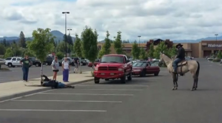 Egészen szürreális képet festett pénteken a Walmart parkolója a fába kapaszkodó tolvajjal és a kötelet fogó cowboy-jal  /Forrás:youtube