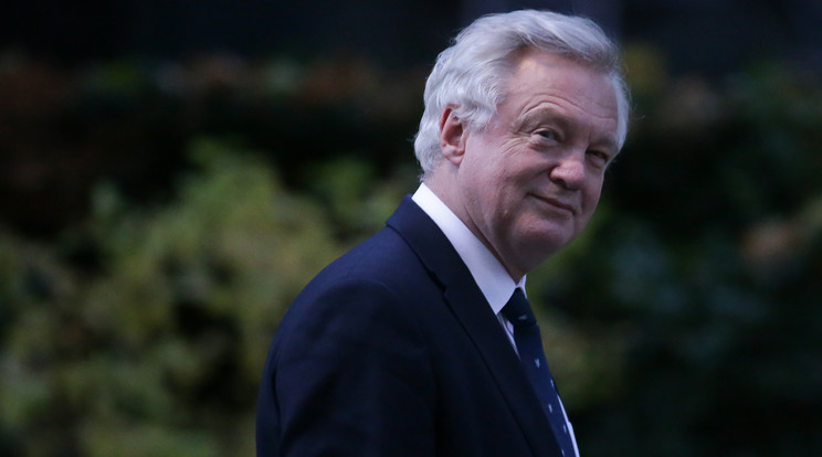 A Brexitet felügyelő David Davis /Fotó: AFP