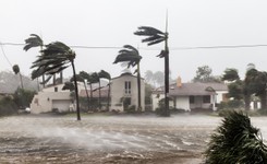 Huragan Poly zbiera śmiertelne żniwo. 'Osiąga prędkość nawet 120 km'