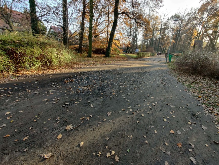 Tak aleja wyglądała przed remontem