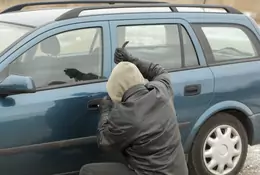 Gdzie trafiają samochody po kradzieży - najbardziej zaskakujące "dziuple"