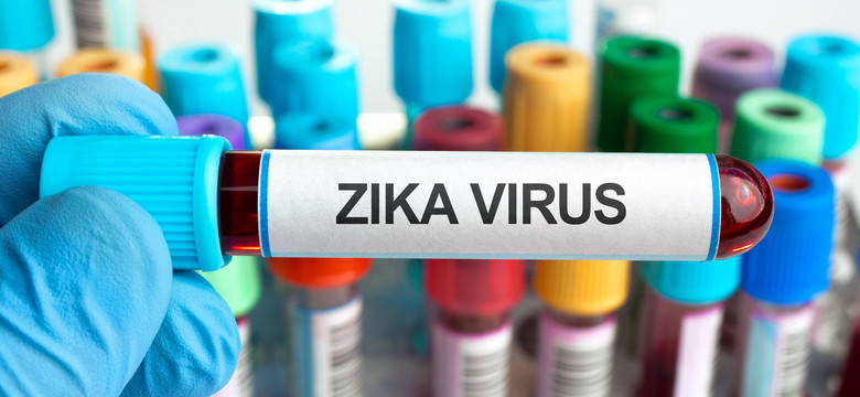 Kiedy szczepionka na wirus Zika? Naukowcy ruszają do ataku