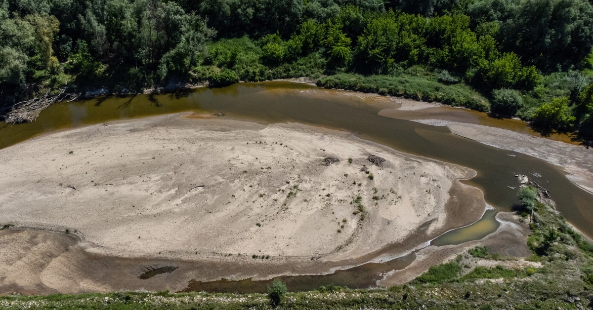 Wisła już prawie wyschła, rekord pobity. Niepokojące prognozy