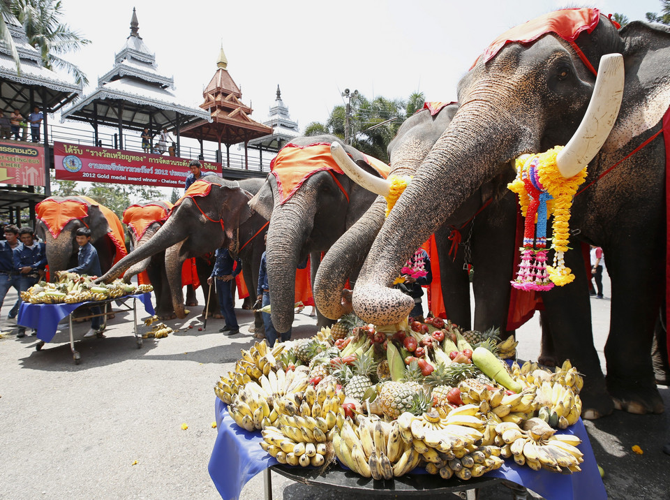 Dzień Słonia w Tajlandii