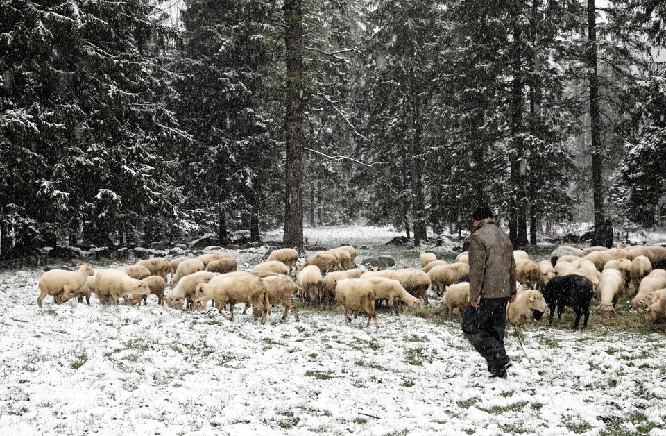 Na Podhalu spadł śnieg! Majowy atak zimy na ulicach Zakopanego i w górach