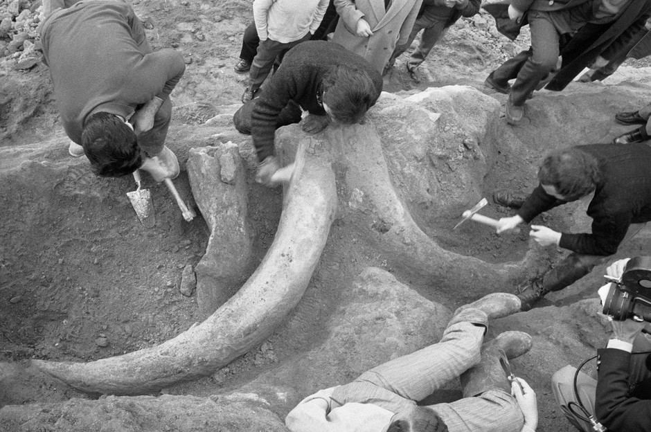 Otkopavanje mamuta u Rimu koji je pronađen tokom izrade auto-puta