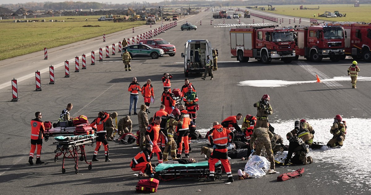 Awaryjne lądowanie po zderzeniu ze stadem ptaków! A lotnisko zamknięte…