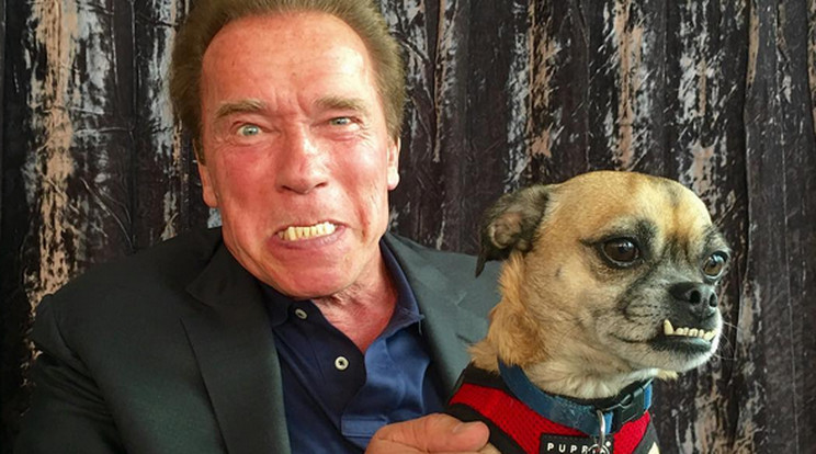 Arnold Schwarzenegger a kutyáját parodizálj