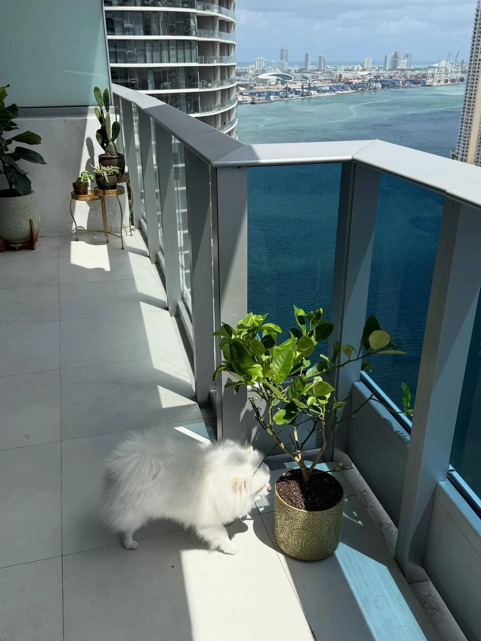 Ćerka Kaje Ostojić se oglasila sa Floride