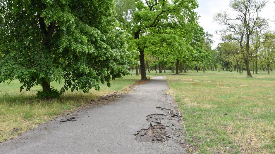 Park Tysiąclecia w Poznaniu fot. PIM