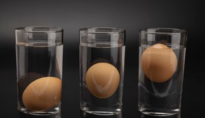 Testiranje svežine i kvaliteta jaja 