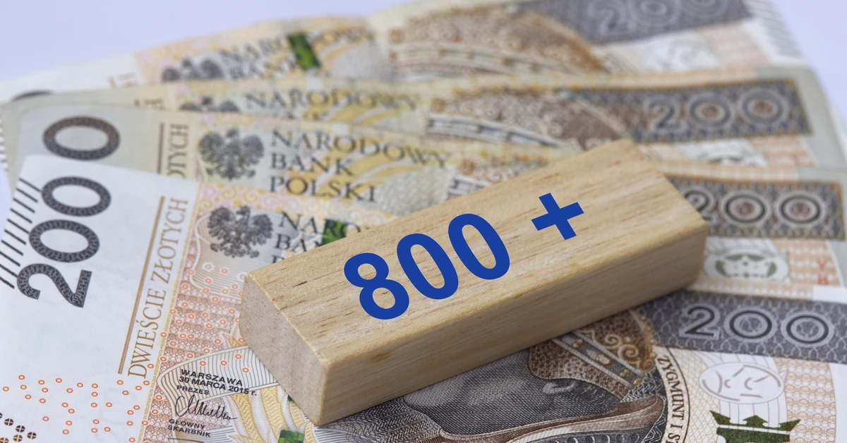 800 plus dla obcokrajowców. Sejm zdecydował