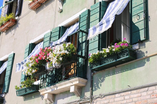 Petunije su omiljeno cveće za male balkone