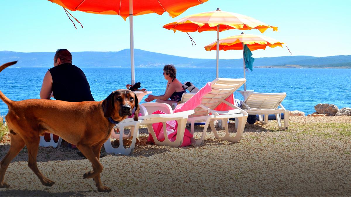 Plaża dla psów w Crikvenicy