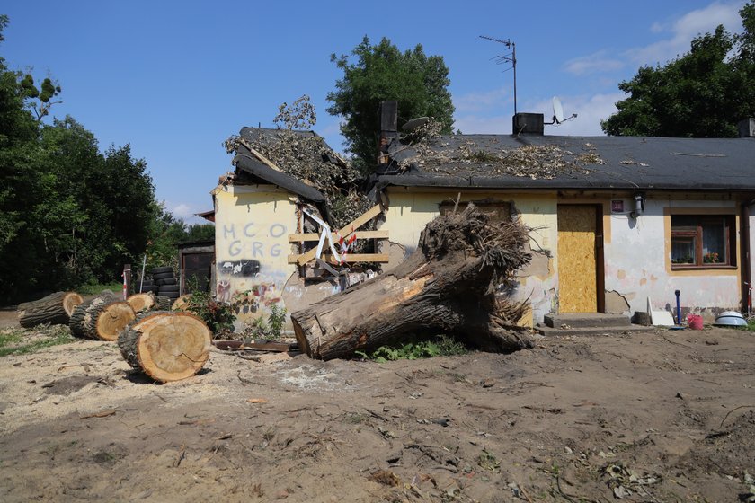 Dramat rodziny z ulicy Przylesie w Łodzi. Drzewo przygniotło dom w czasie nawałnicy