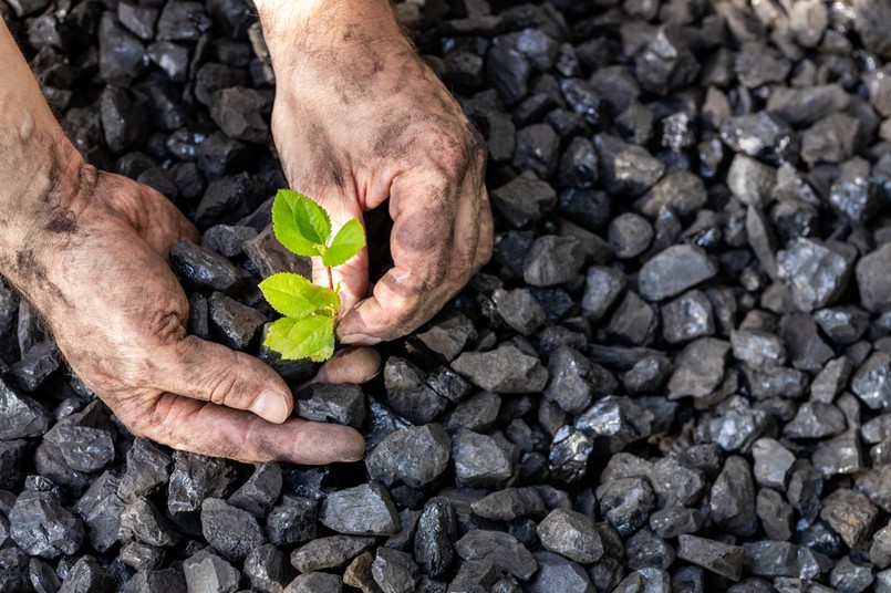 Greenwashing. Długa droga od ekogroszku do węgla groszku