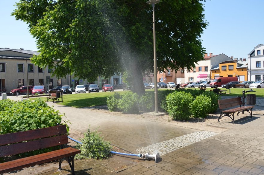 Akcja woda dla zwierząt w Wieruszowie