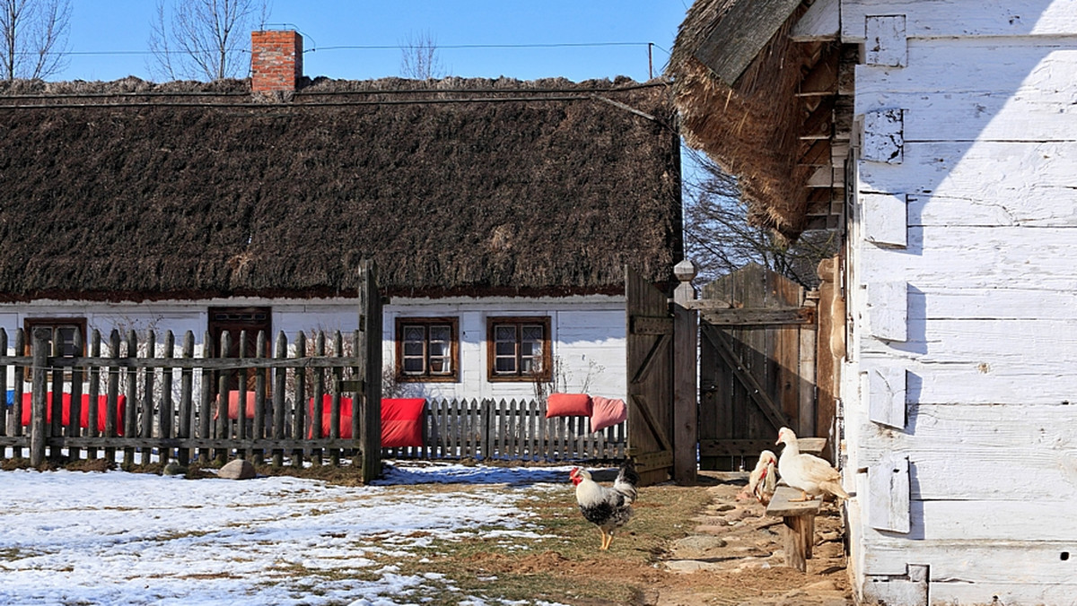 W zabytkowym parku w Kłóbce (Kujawsko-pomorskie) zakończono prace melioracyjne, czyli pierwszy etap programu rewitalizacyjnego. Zespół dworsko-parkowy ma w 2014 r. stać się częścią Muzeum Wsi Kujawskiej. W dworze mieszkała m.in. narzeczona Chopina.