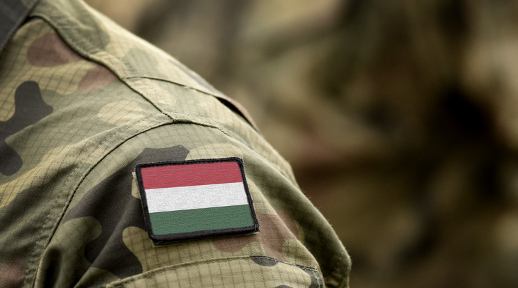 Életet mentettek a magyar katonák Bosznia-Hercegovinában / Fotó: Shutterstock