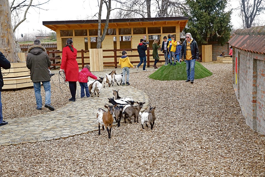 Deca mogu i da pomaze pojedine vrste životinja