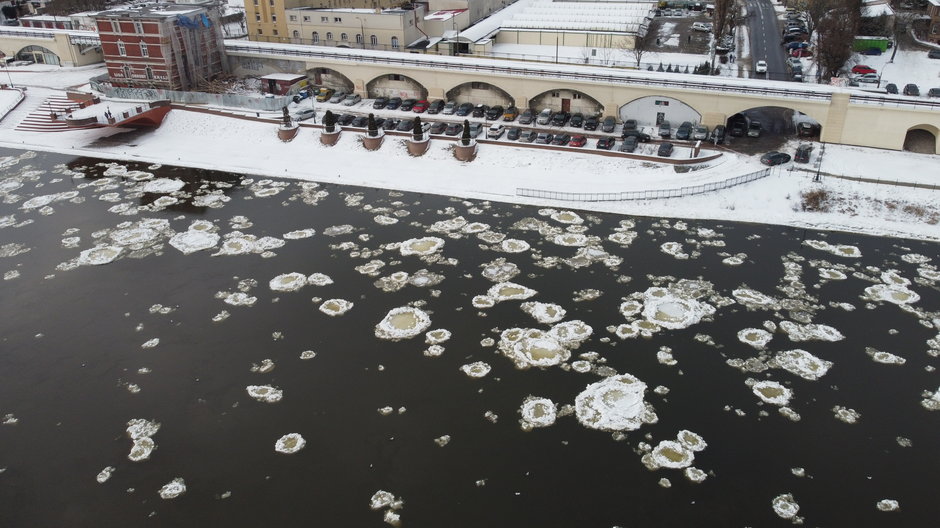 Śryż na rzece Warcie w Gorzowie