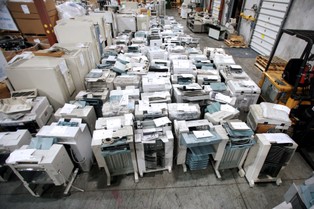 Zelmer urośnie w tym roku