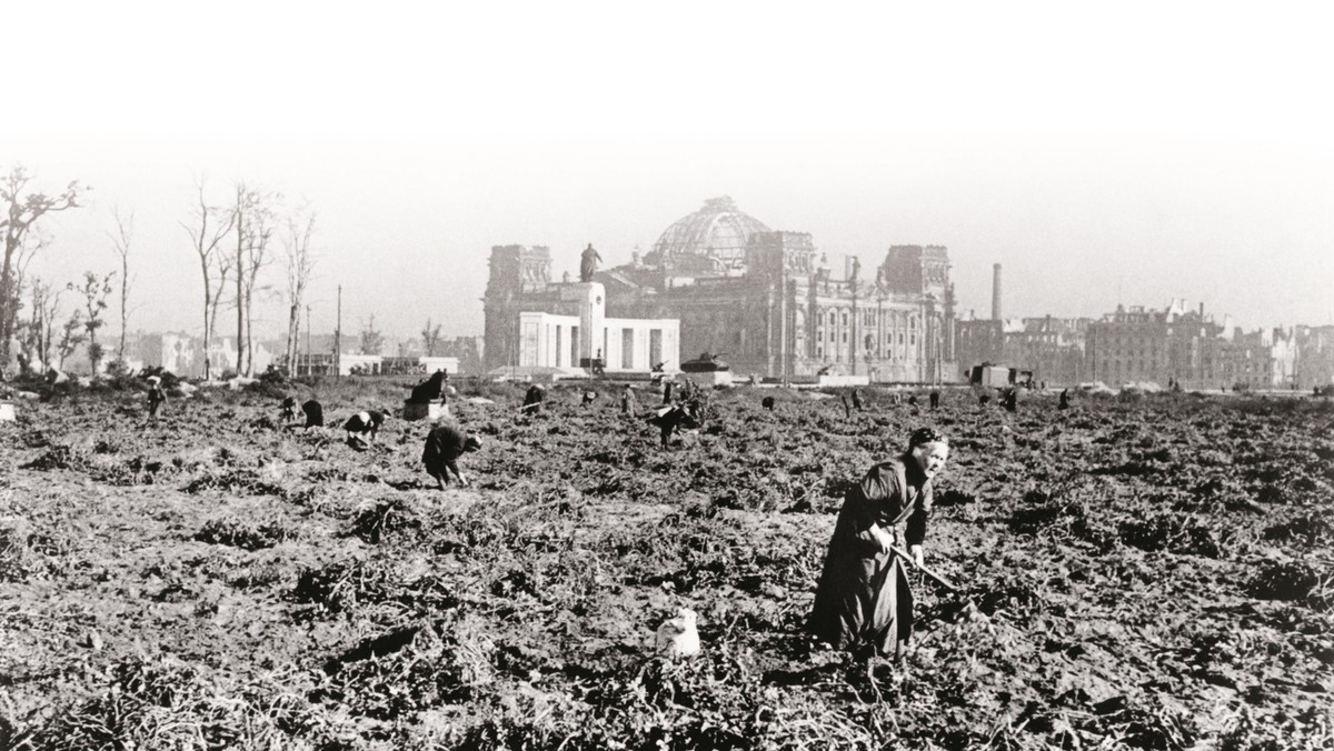 Berlin, Potato Cultivation / Photo 1945