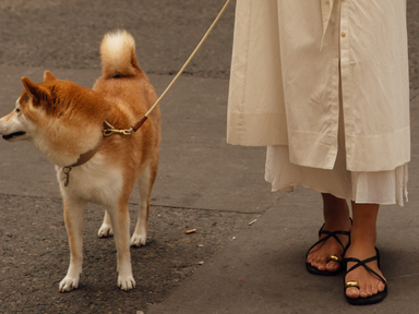 10 nyári papucs és szandál, ami egyszerűen minden stílushoz passzol