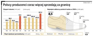 Polskie buty wychodzą za granicę