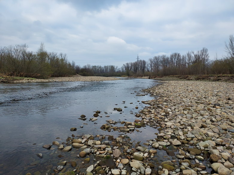 Rzeka Soła w Czańcu