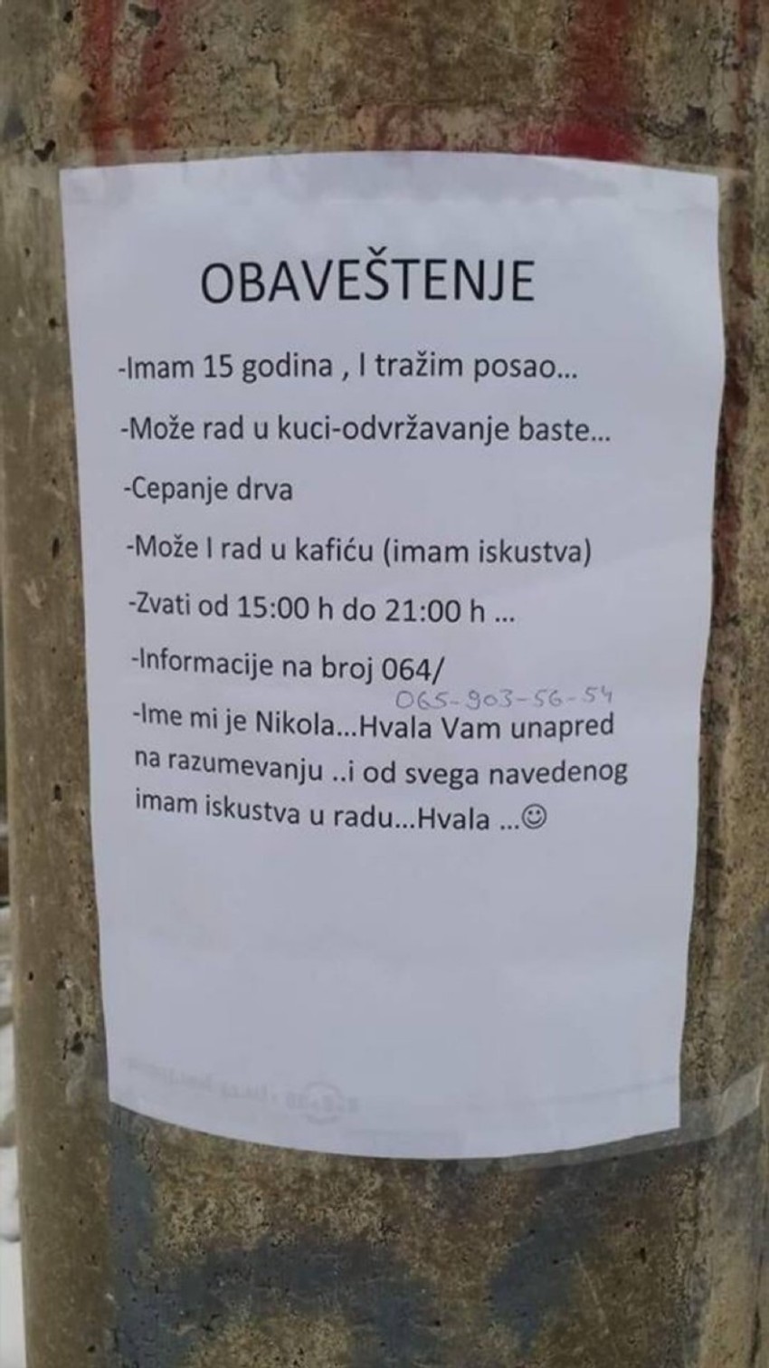 Oglas na kojem piše da petnaestogodišnji Nikola traži posao