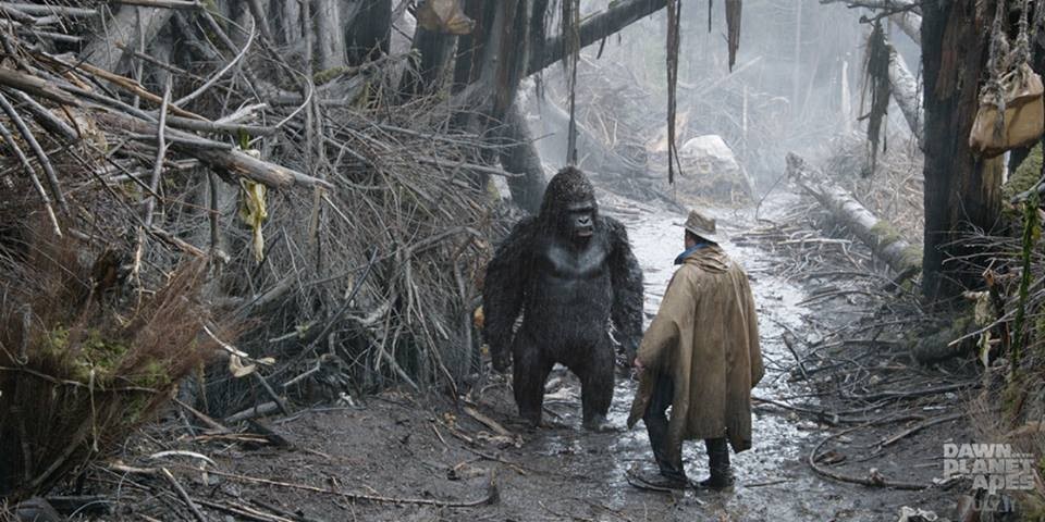 Małpy jak ludzie – chcą przeżyć...