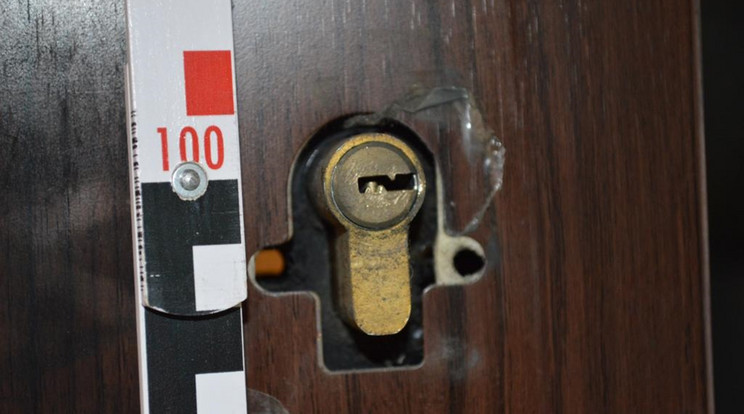 A tolvajok feltehetően egy hamis kulccsal jutottak be a házba /Fotó: police.hu