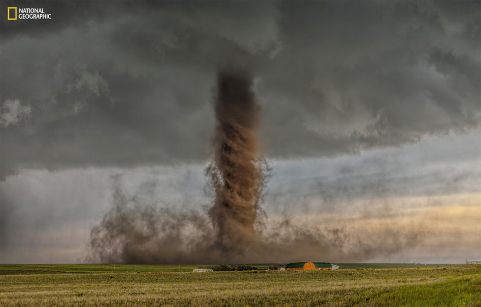 Grand Prix i I miejsce w kategorii Przyroda - James Smart - Dirt (pol. Pył) / National Geographic Photography Contest 2015
