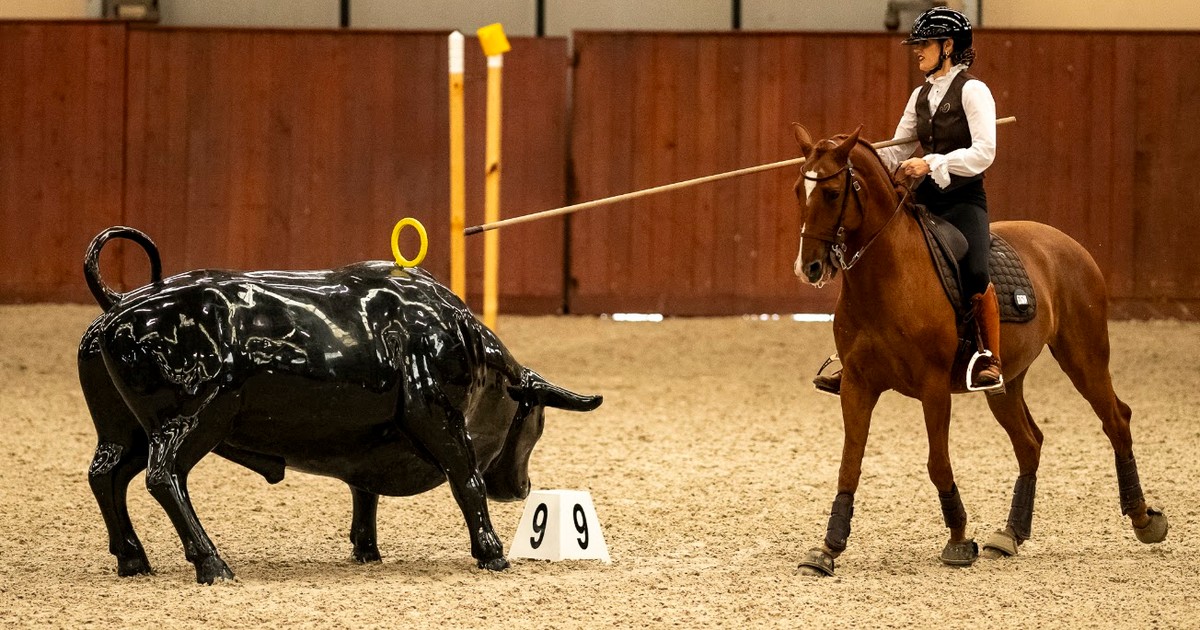 Anna Skrzypek z kwalifikacją na Mistrzostwa Świata Working Equitation!