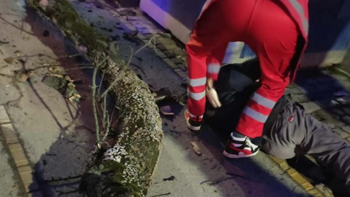 Stablo palo na čoveka