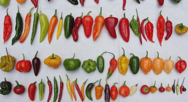 The different types of peppers we have in Nigeria