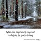 źródło: kwejk.pl