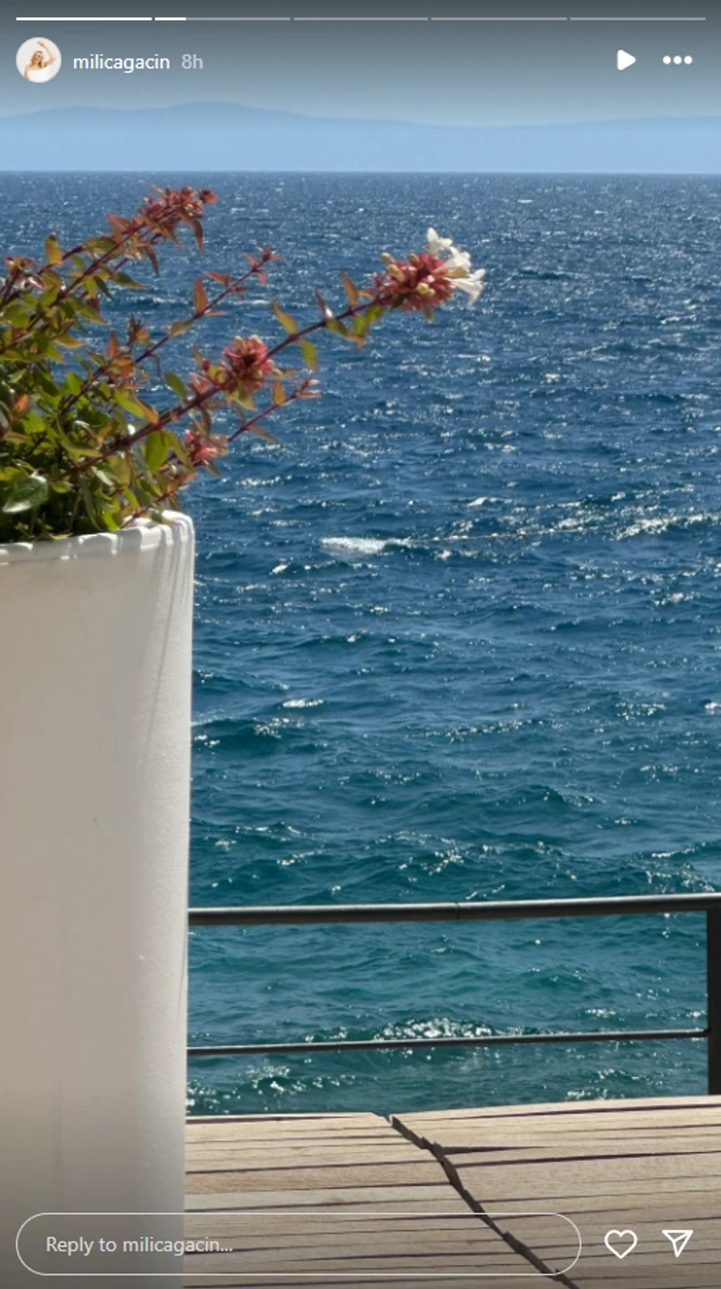 Milica Gacin, objava