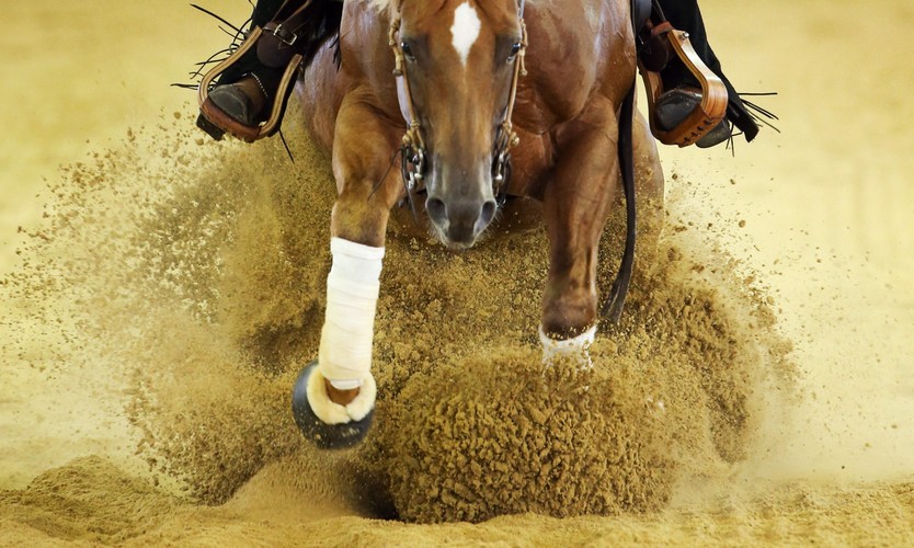 Zobacz najlepsze sportowe zdjęcia 2015 roku