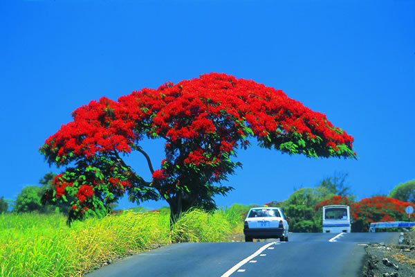 Mauritius - rajska kraina błękitu