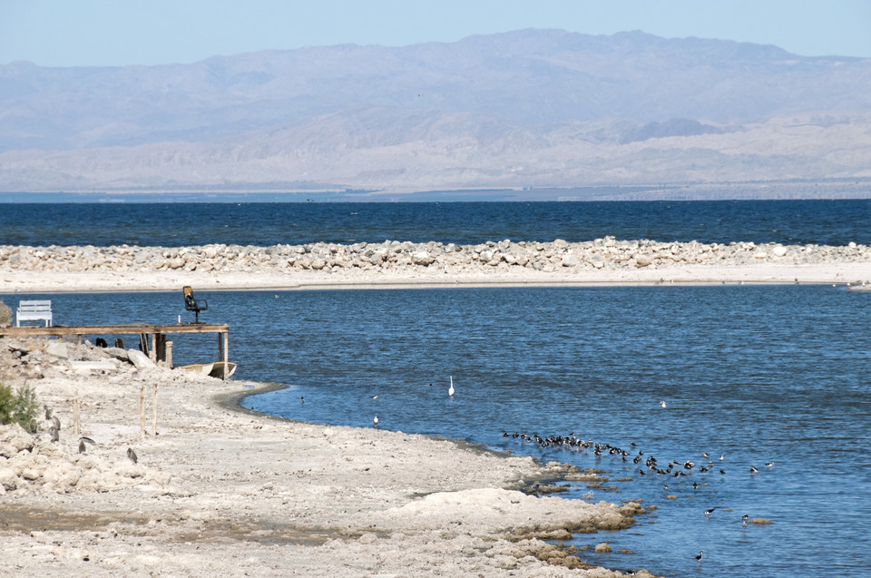 Salton Sea - przerażająca plaża w sercu Kalifornii