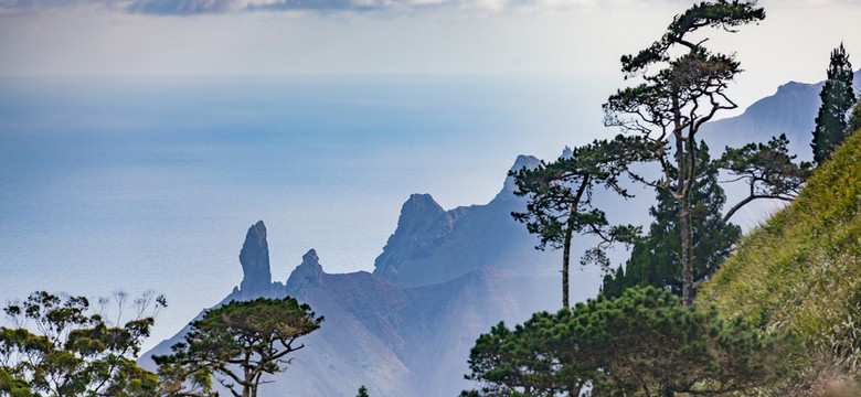 Najstarsze zwierzę świata ma 190 lat i mieszka na Wyspie Świętej Heleny