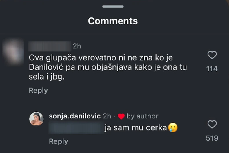Sonja Danilović, komentar