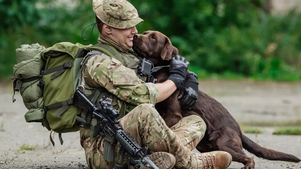 Żołnierz ściskający się z psem. Zdjęcie ilustracyjne