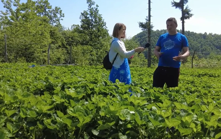 Fahrudin iz Živinica