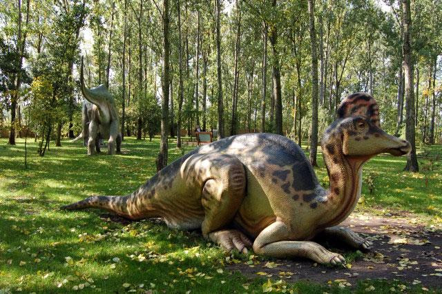 Galeria Polska - Rogowo - Park Dinozaurów, obrazek 28