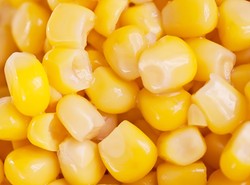Chroni przed rakiem, odchudza. Zalety kukurydzy